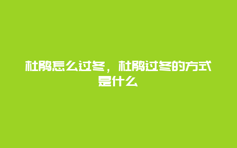 杜鹃怎么过冬，杜鹃过冬的方式是什么