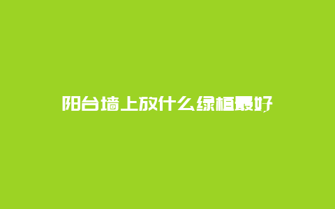 阳台墙上放什么绿植最好