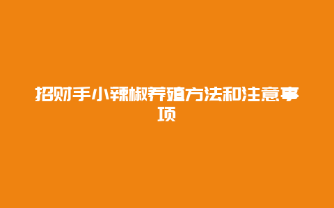 招财手小辣椒养殖方法和注意事项