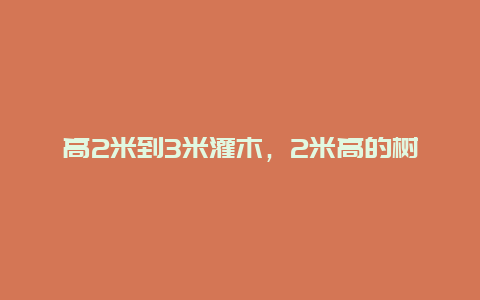 高2米到3米灌木，2米高的树