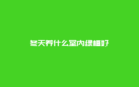 冬天养什么室内绿植好