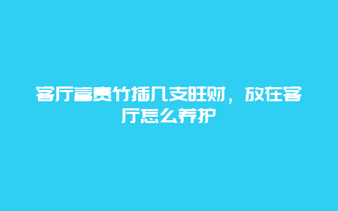 客厅富贵竹插几支旺财，放在客厅怎么养护