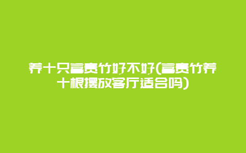 养十只富贵竹好不好(富贵竹养十根摆放客厅适合吗)