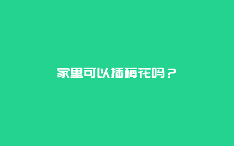 家里可以插梅花吗？