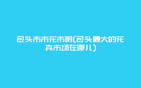 包头市市花市树(包头最大的花卉市场在哪儿)