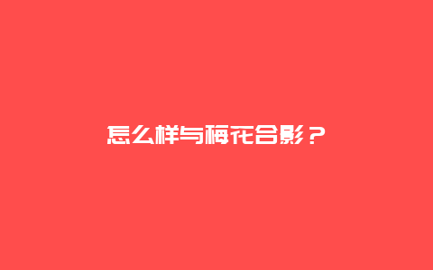 怎么样与梅花合影？