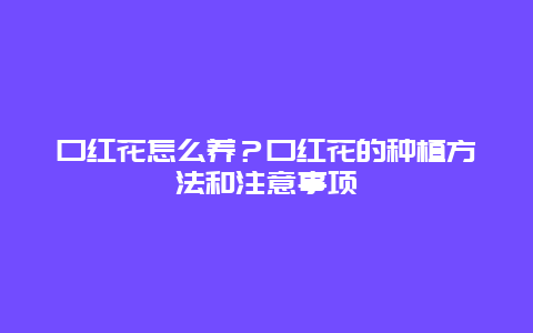 口红花怎么养？口红花的种植方法和注意事项