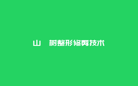 山楂树整形修剪技术