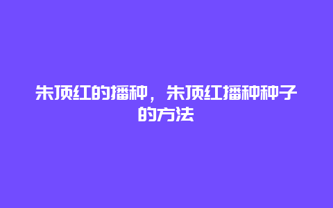 朱顶红的播种，朱顶红播种种子的方法