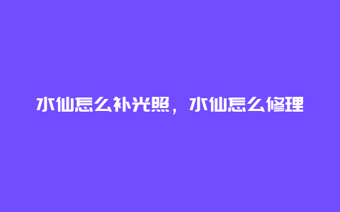 水仙怎么补光照，水仙怎么修理