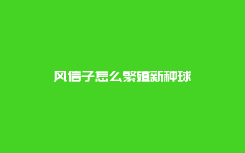 风信子怎么繁殖新种球