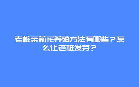 老桩茉莉花养殖方法有哪些？怎么让老桩发芽？