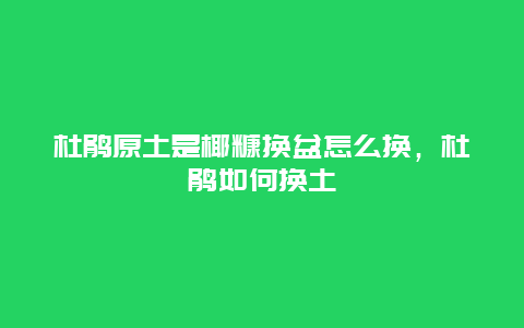 杜鹃原土是椰糠换盆怎么换，杜鹃如何换土