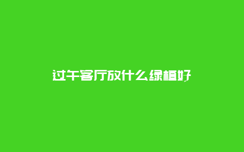 过午客厅放什么绿植好