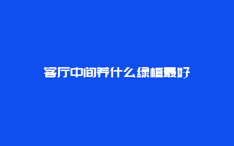 客厅中间养什么绿植最好