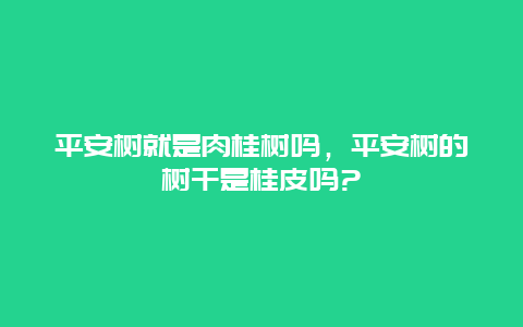 平安树就是肉桂树吗，平安树的树干是桂皮吗?