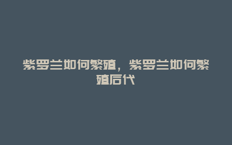 紫罗兰如何繁殖，紫罗兰如何繁殖后代