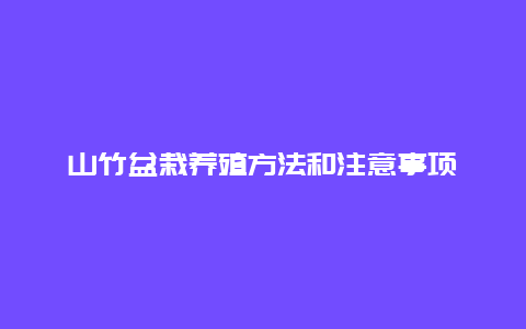 山竹盆栽养殖方法和注意事项