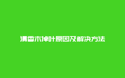 清香木掉叶原因及解决方法