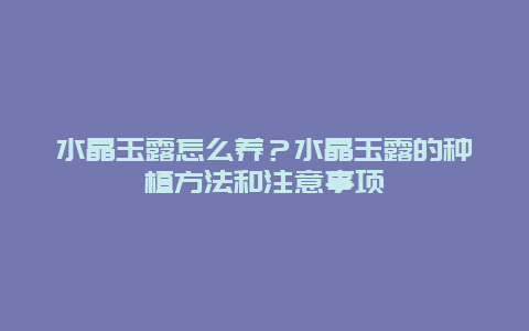 水晶玉露怎么养？水晶玉露的种植方法和注意事项