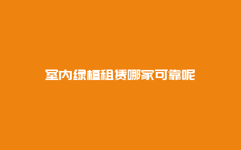 室内绿植租赁哪家可靠呢