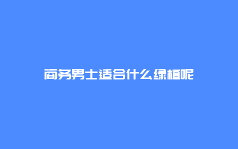 商务男士适合什么绿植呢