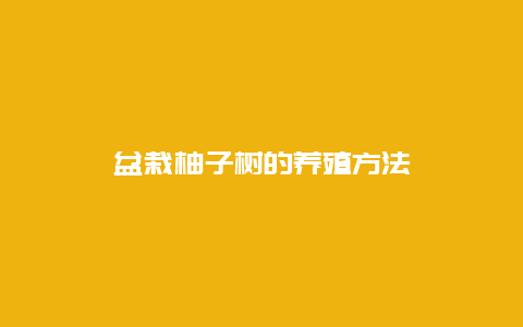 盆栽柚子树的养殖方法