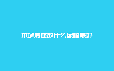 木墩底座放什么绿植最好