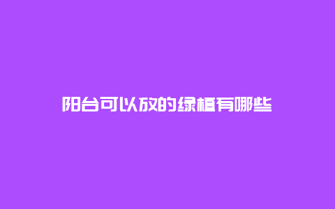 阳台可以放的绿植有哪些