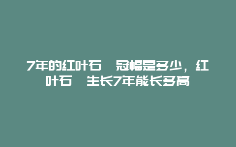 7年的红叶石楠冠幅是多少，红叶石楠生长7年能长多高