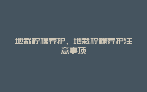 地栽柠檬养护，地栽柠檬养护注意事项