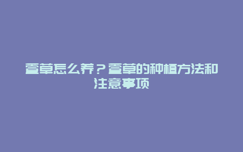 萱草怎么养？萱草的种植方法和注意事项