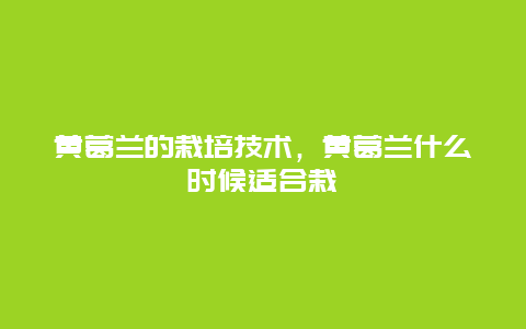 黄葛兰的栽培技术，黄葛兰什么时候适合栽