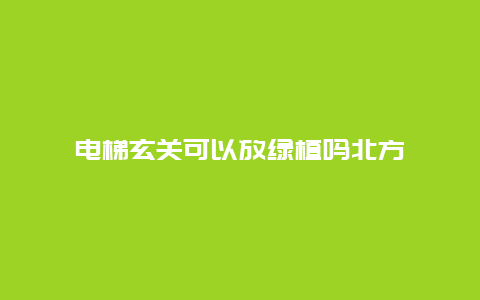 电梯玄关可以放绿植吗北方