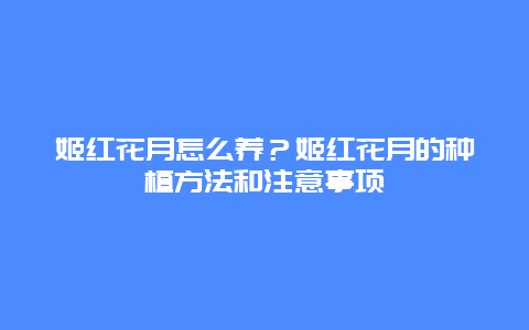 姬红花月怎么养？姬红花月的种植方法和注意事项