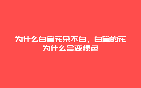 为什么白掌花朵不白，白掌的花为什么会变绿色