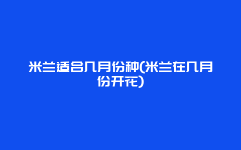 米兰适合几月份种(米兰在几月份开花)