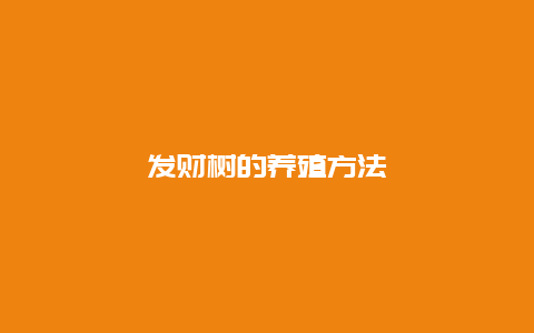 发财树的养殖方法