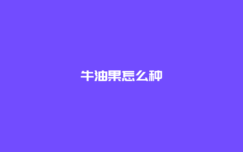 牛油果怎么种