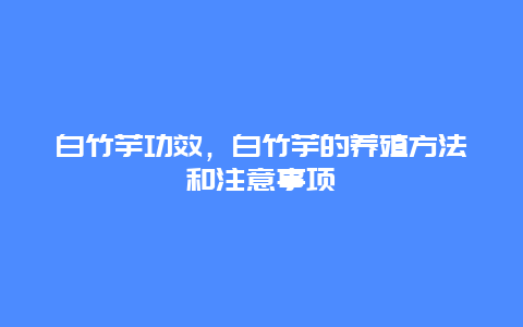 白竹芋功效，白竹芋的养殖方法和注意事项