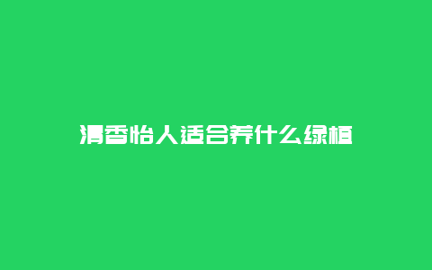 清香怡人适合养什么绿植