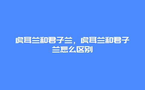 虎耳兰和君子兰，虎耳兰和君子兰怎么区别