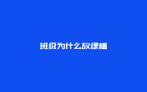 班级为什么放绿植