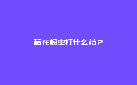 梅花蚜虫打什么药？