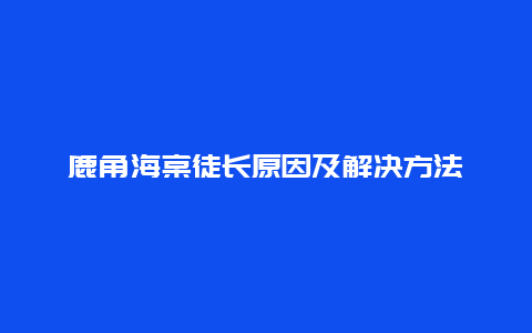 鹿角海棠徒长原因及解决方法