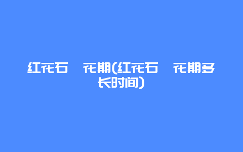 红花石斛花期(红花石斛花期多长时间)