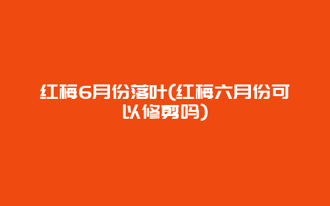 红梅6月份落叶(红梅六月份可以修剪吗)