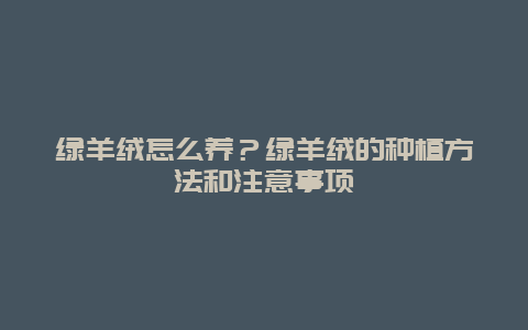 绿羊绒怎么养？绿羊绒的种植方法和注意事项