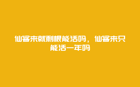 仙客来就剩根能活吗，仙客来只能活一年吗