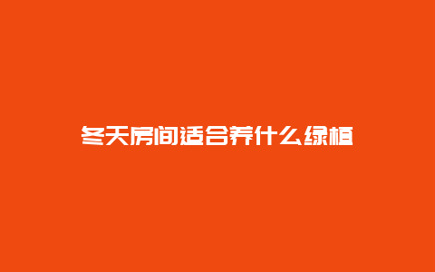 冬天房间适合养什么绿植